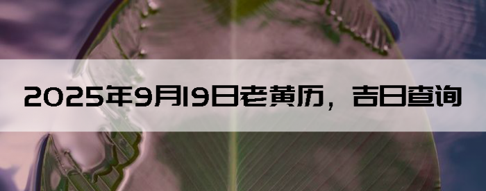 2025919ϻղѯ