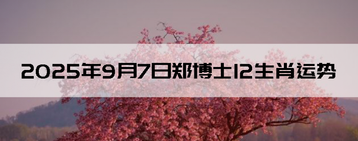 202597֣ʿ12Ф