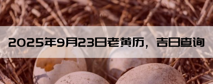 2025923ϻղѯ