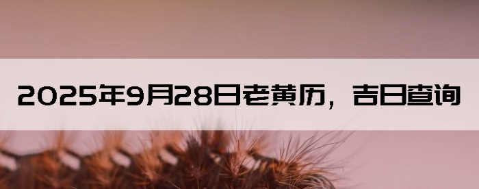 2025928ϻղѯ