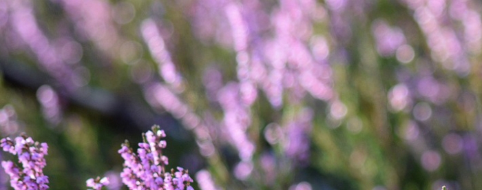 <b>ˮӷˮĽǶȿ</b>