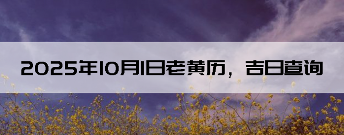 2025101ϻղѯ