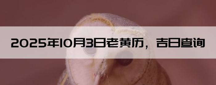 2025103ϻղѯ