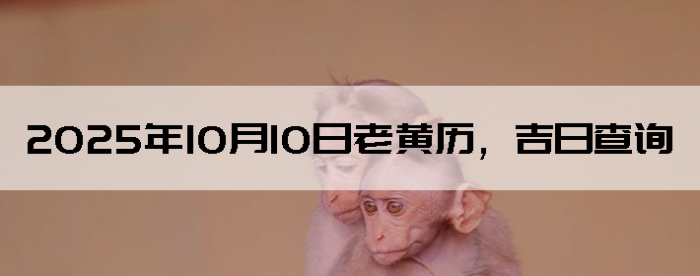 20251010ϻղѯ
