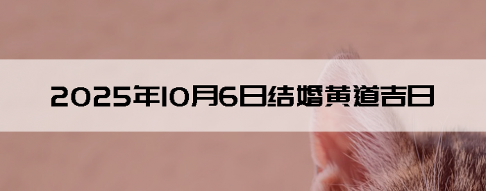 2025106ô