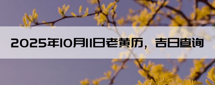 20251011ϻղѯ