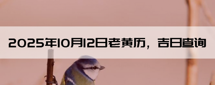 20251012ϻղѯ