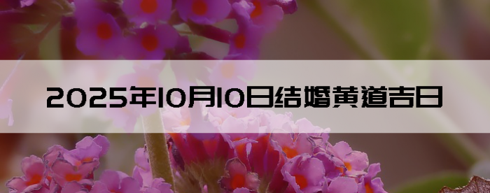 20251010ʺϽ