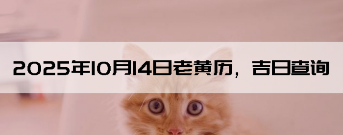 20251014ϻղѯ
