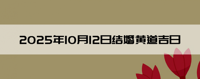 20251012ʺϽ