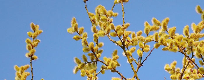 在线人工免费算命,全面解析性格命格