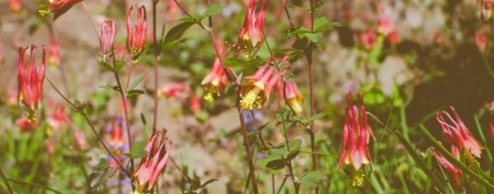 算卦免费测算,解风水涣卦运势