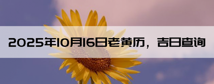 20251016ϻղѯ