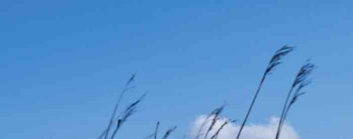 在线算命:掌握财富与贵人运