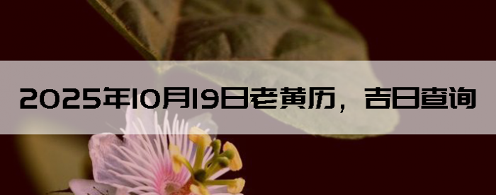 20251019ϻղѯ