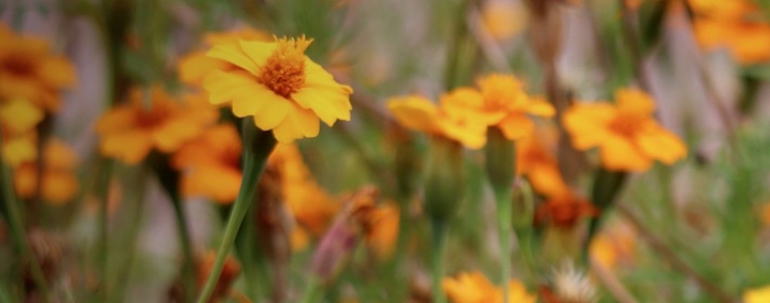 称骨算命,你的命重有几两几钱?