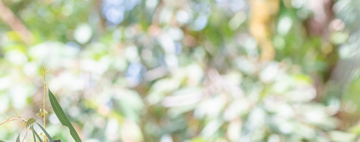 蛊卦测分手复合,免费抽签解签