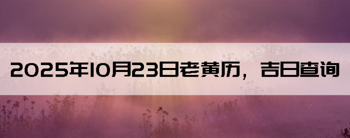 20251023ϻղѯ