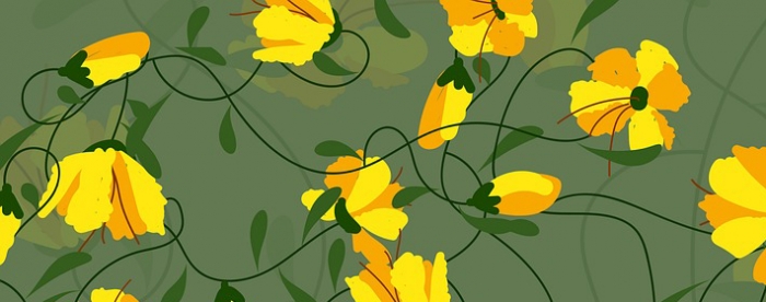 称骨算命是科学还是传统文化之趣?