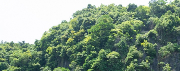 在线算命详解读,揭示你命中的贵人