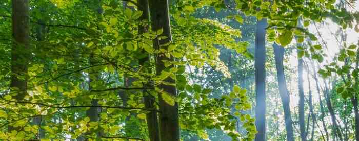 免费在线算命什么时候才能结婚成家?