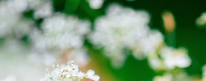 在线人工免费算命,教你如何提升偏财运