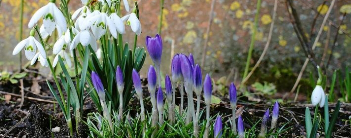 周易天地否卦的人生智慧之解读