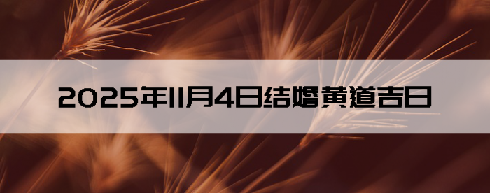 2025114ʺϽ