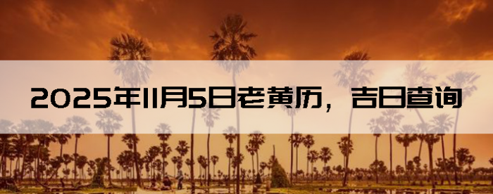2025115ϻղѯ