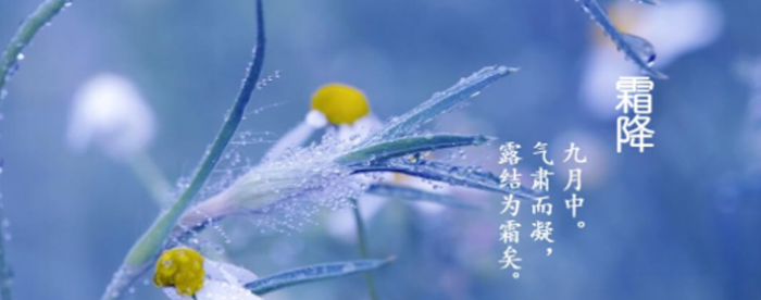 霜降到了,民间习俗你知道几个