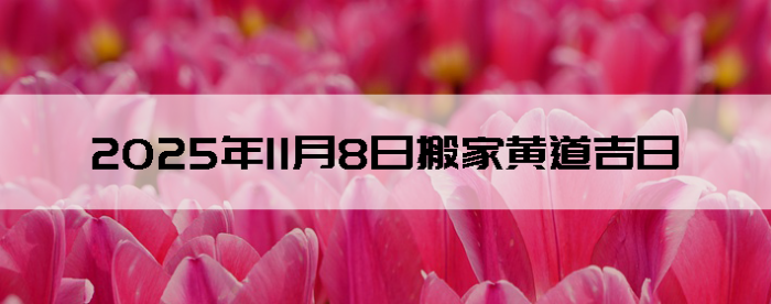 2025年11月8日这天适合搬家吗