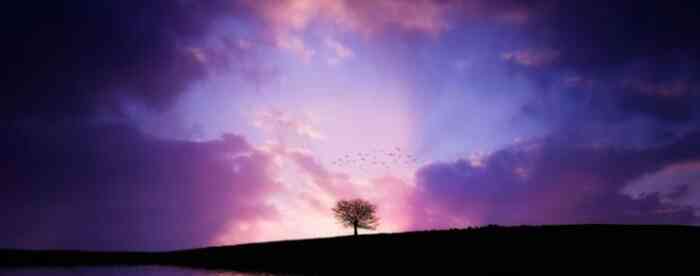 <b>六爻测婚姻现空亡代表什么意思</b>