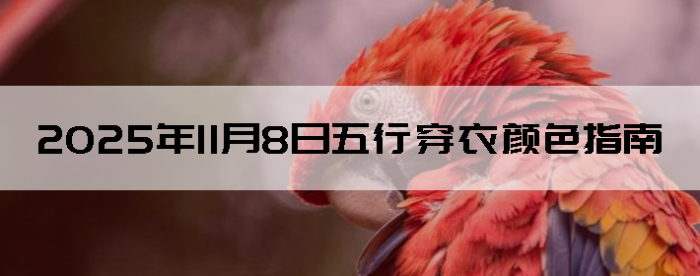 2025��11��8�����д�����ɫָ��