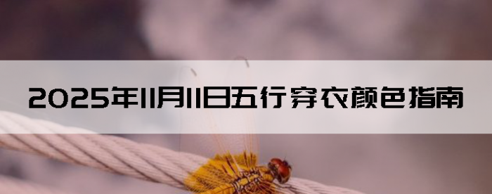 2025��11��11�����д�����ɫָ��