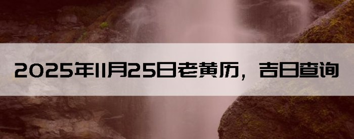 2025��11��25���ϻ��������ղ�ѯ