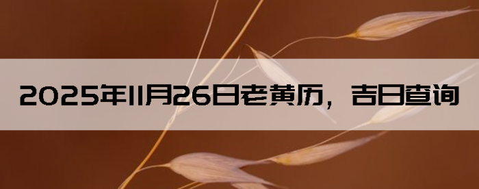 2025��11��26���ϻ��������ղ�ѯ