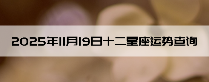 2025��11��19��ʮ���������Ʋ�ѯ