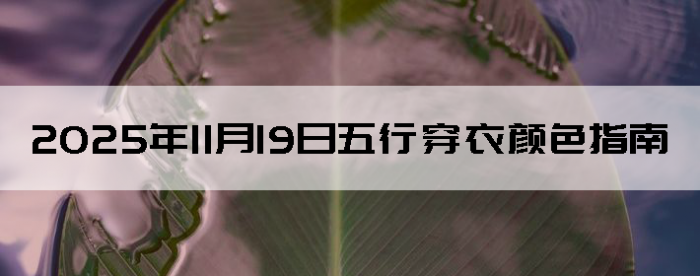 2025��11��19�����д�����ɫָ��