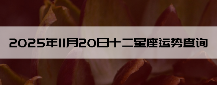 2025��11��20��ʮ���������Ʋ�ѯ