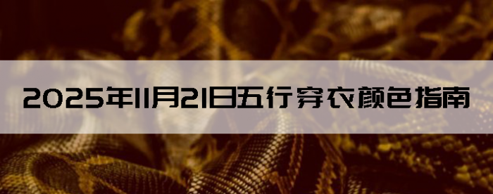 2025��11��21�����д�����ɫָ��