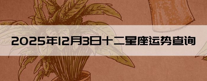 2025��12��3��ʮ���������Ʋ�ѯ