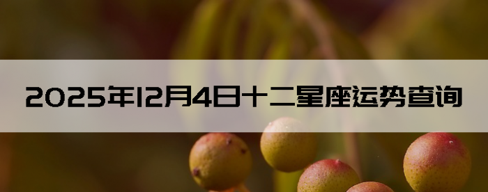 2025��12��4��ʮ���������Ʋ�ѯ