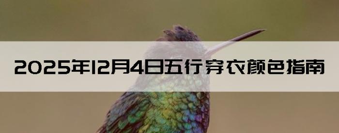 2025��12��4�����д�����ɫָ��