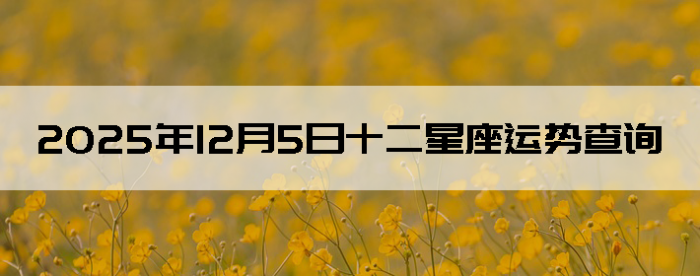 2025��12��5��ʮ���������Ʋ�ѯ