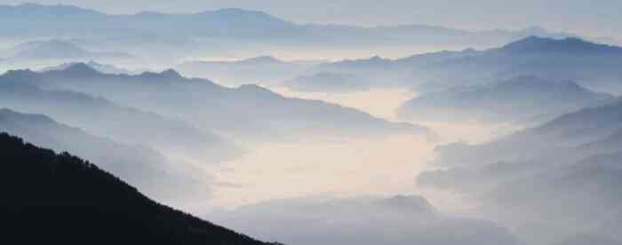 ������Ѳ��㣬�̻������ƽ���