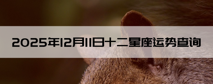 2025��12��11��ʮ���������Ʋ�ѯ