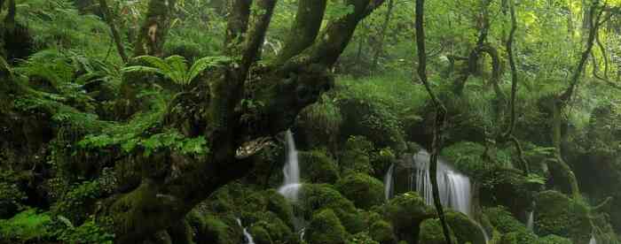 81��������44��������������