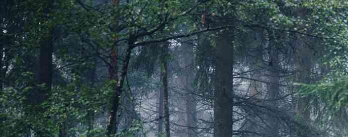 <b>����÷�ˮ���������������۶�</b>