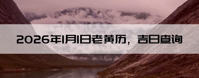 2026��1��1���ϻ��������ղ�ѯ