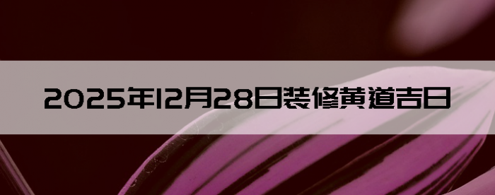 2025��12��28��װ�޺����Ӳ�ѯ